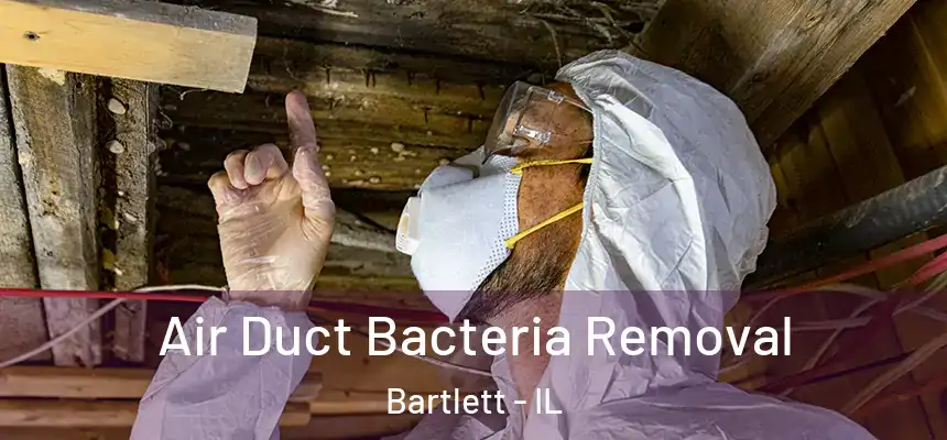 Air Duct Bacteria Removal Bartlett - IL