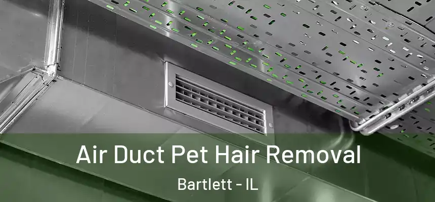  Air Duct Pet Hair Removal Bartlett - IL