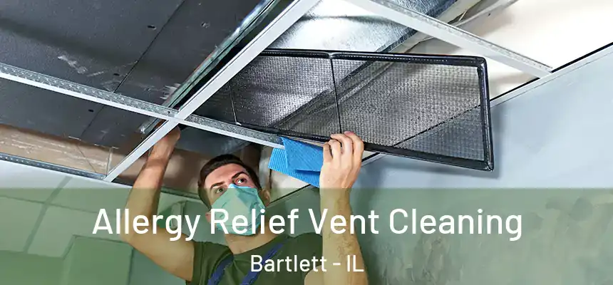  Allergy Relief Vent Cleaning Bartlett - IL