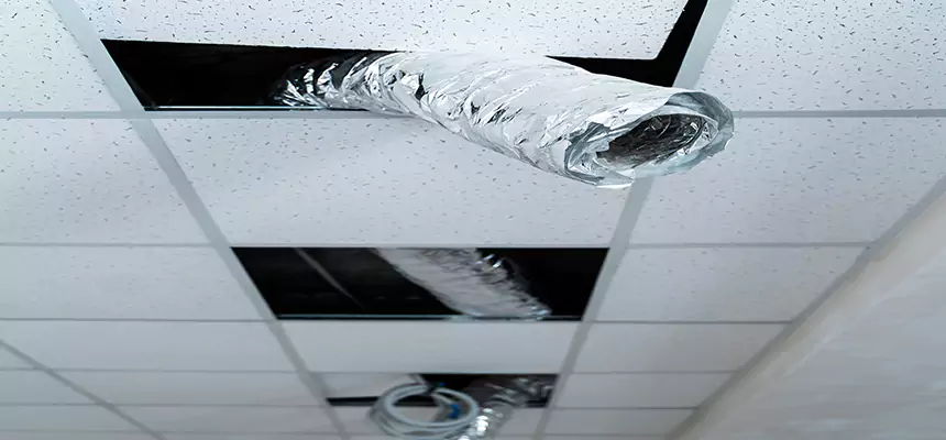 Affordable HVAC Sanitizing After Pest Removal in Bartlett