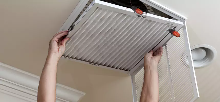 Our Insect Removal from Air Ducts Services in Bartlett, IL