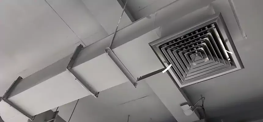 Our Pest Removal From Ducts Services in Bartlett, IL