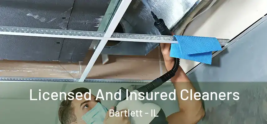  Licensed And Insured Cleaners Bartlett - IL