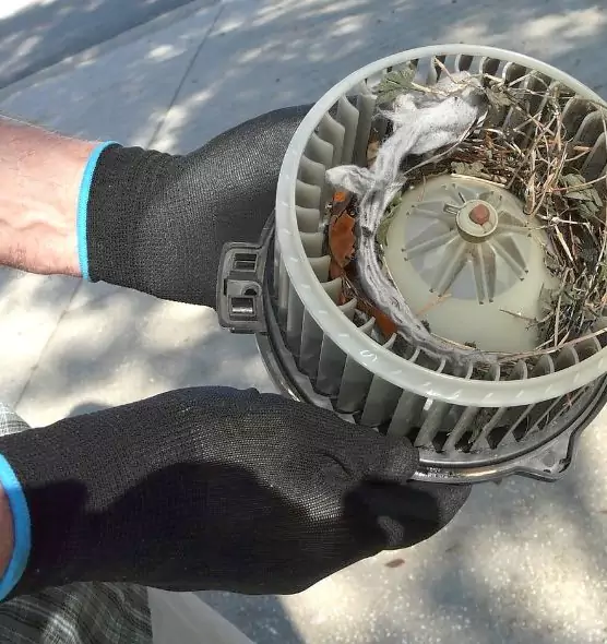 About Air Duct Rat Removal in Bartlett, IL