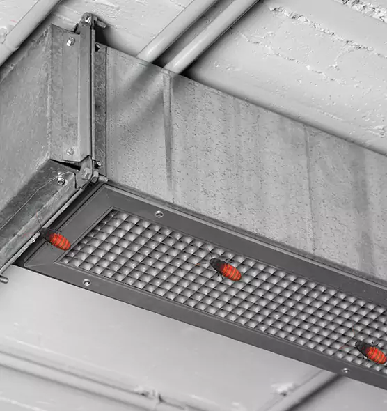 Affordable Insect Removal from Air Ducts in Bartlett, IL