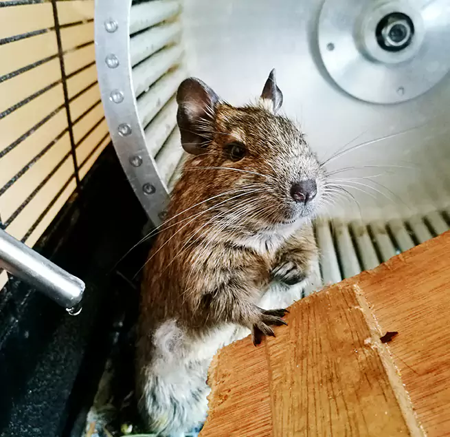 Why Homeowners & Businesses Trust Us Bartlett, IL