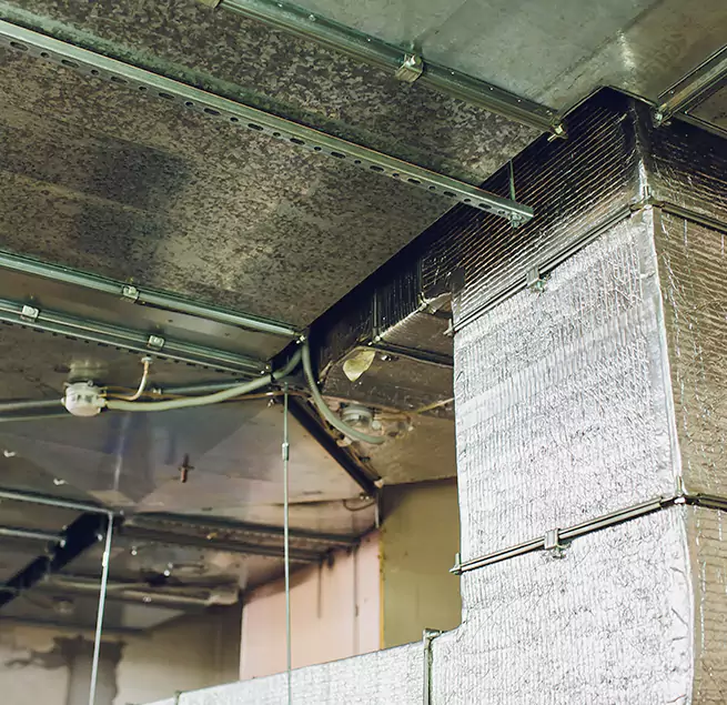 Why Homeowners & Businesses Trust Us in Bartlett, IL?